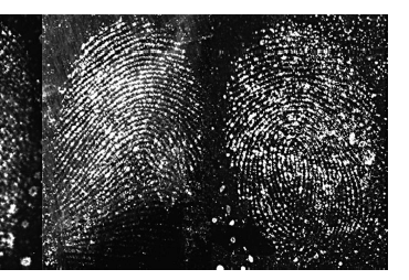 fingerprint enhancement spindler 2011.gif